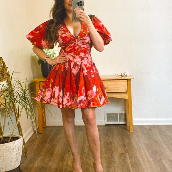 🔥 NWT Hemant & Nandita Tuhi Skater Dress – Luxury Resort 2025 Couture, Tropical - Picture 4 of 7